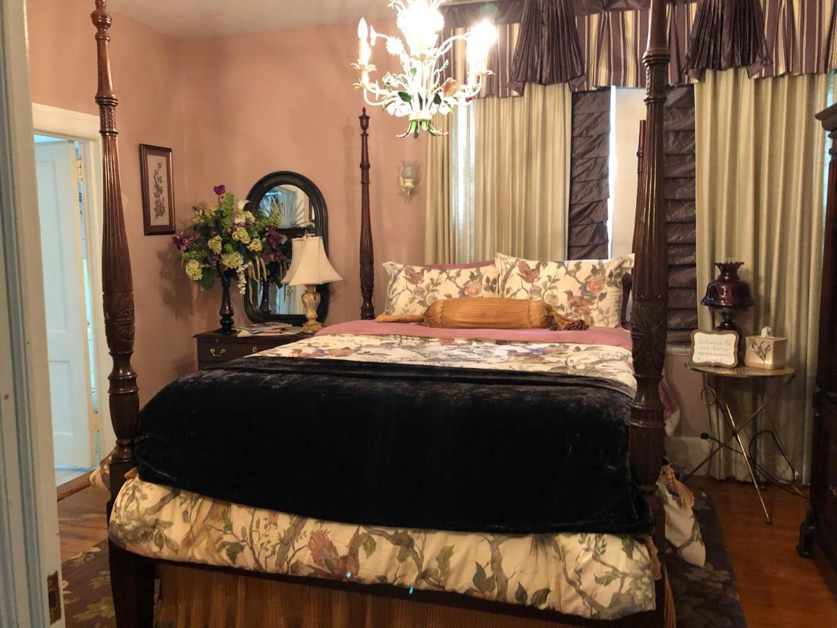 ويلمنجتون Angies B&B المظهر الخارجي الصورة